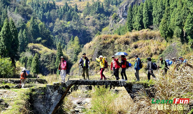 ͽ����ĳ�������ϵĿ���-���ߵ�����